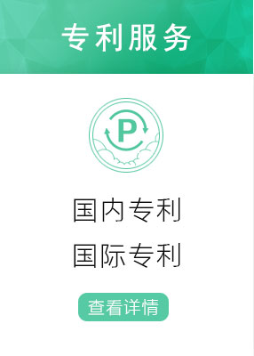 國內(nèi)專利